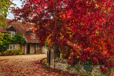 Increase your kerb appeal this autumn