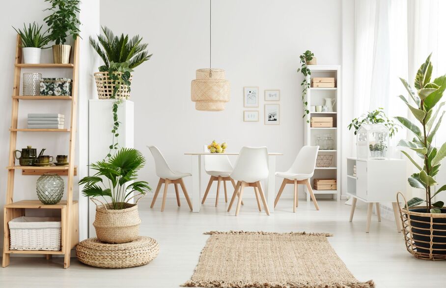 Adding plants to your rented home: a tenant's guide